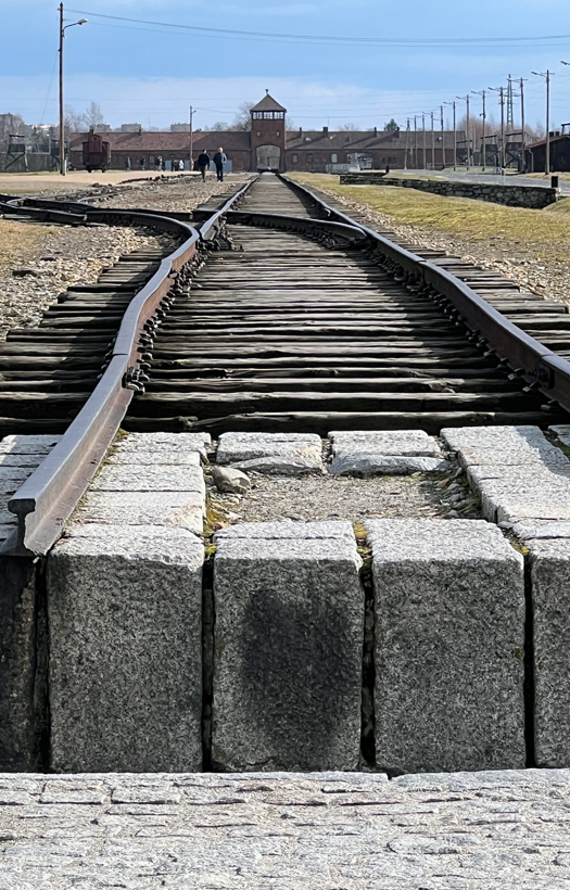 Das Konzentrationslager Auschwitz zeigte den Schülern die Vergangenheit dieses schlimmen Ortes.